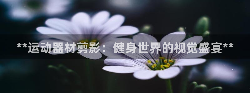 意昂体育3平台注册要钱吗是真的吗：**运动器材剪影：