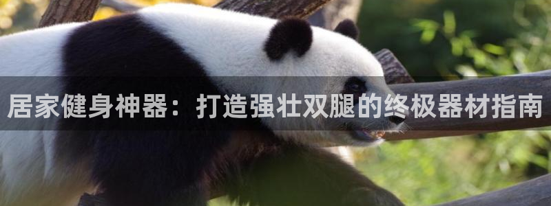 意昂体育3平台APP：居家健身神器：打造强壮双腿的终