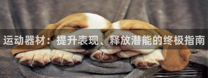 意昂体育3平台是正规平台吗：运动器材：提升表现、释放