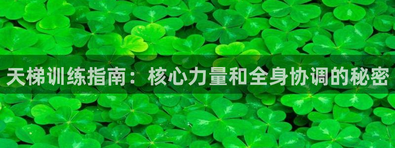 意昂体育3平台注册流程视频：天梯训练指南：核心力量和