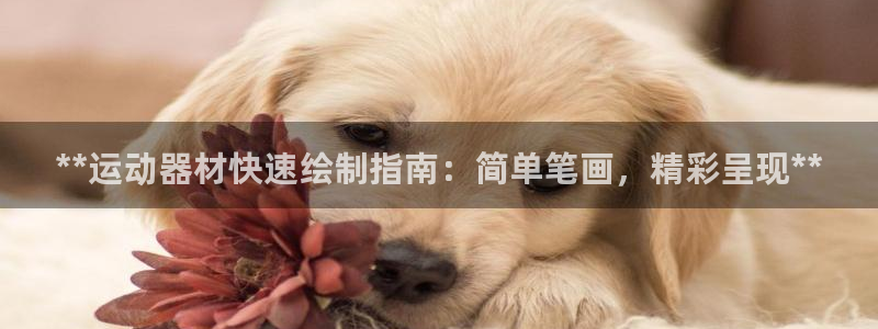 意昂3集团官网网址：**运动器材快速绘制指南：简单笔