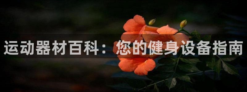 意昂3娱乐下载：运动器材百科：您的健身设备指南