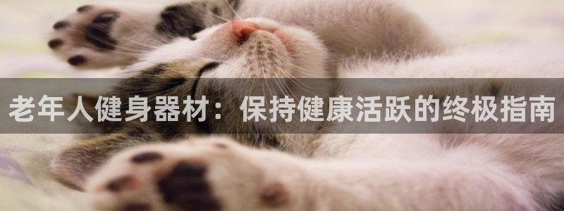 意昂体育3联系电话：老年人健身器材：保持健康活跃的终