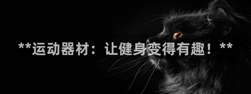 意昂体育3软件：**运动器材：让健身变得有趣！**
