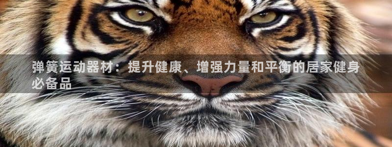 意昂体育3平台APP：弹簧运动器材：提升健康、增强力