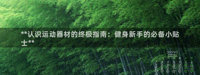 意昂体育3官方客服电话：**认识运动器材的终极指南：
