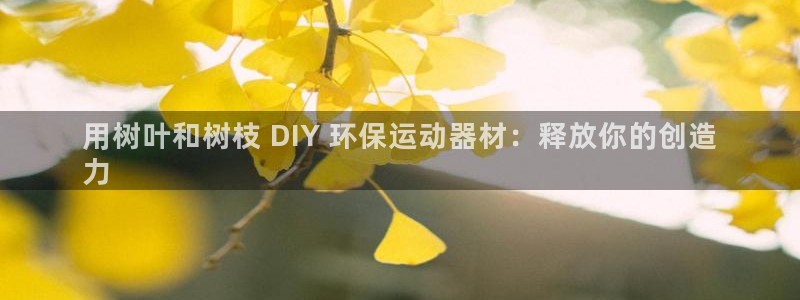 意昂3娱乐首页官网下载：用树叶和树枝 DIY 环保运