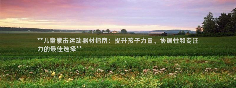 意昂体育3平台注册：**儿童拳击运动器材指南：提升孩