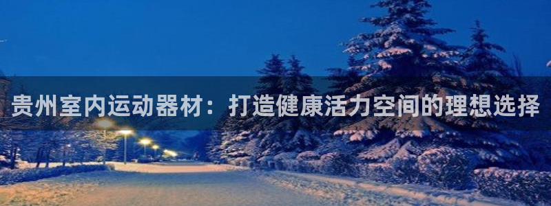 意昂体育3开户：贵州室内运动器材：打造健康活力空间的