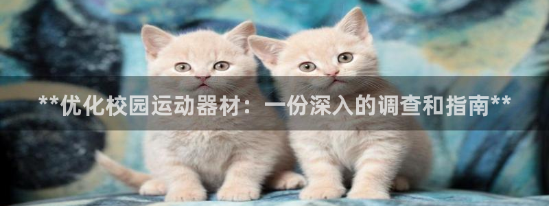 意昂集团官网：**优化校园运动器材：一份深入的调查和