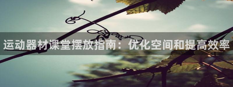 海南意昂体育3：运动器材课堂摆放指南：优化空间和提高