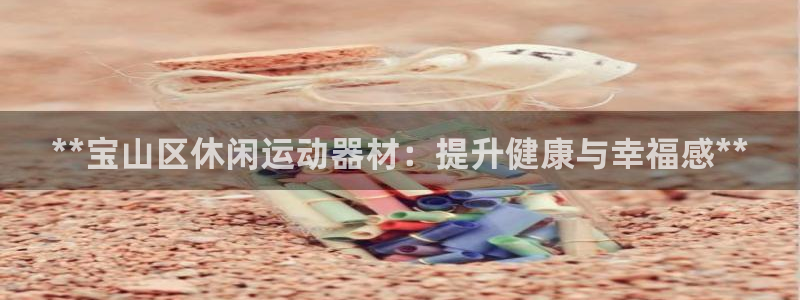 意昂体育3平台注册流程图：**宝山区休闲运动器材：提
