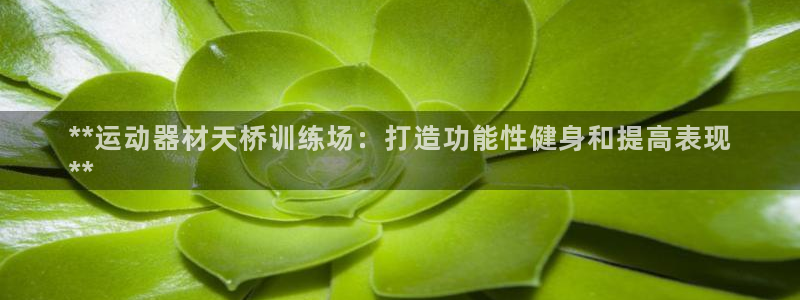 意昂3集团：**运动器材天桥训练场：打造功能性健身和