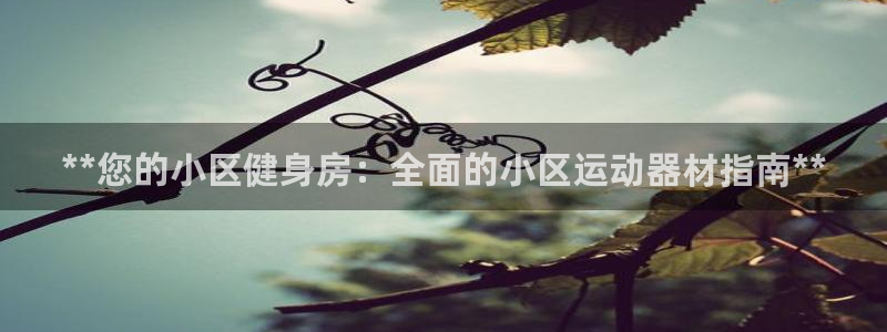 意昂3开户：**您的小区健身房：全面的小区运动器材指