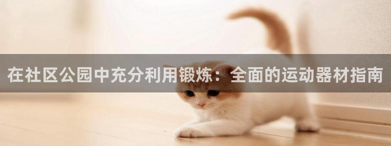 注册意昂3：在社区公园中充分利用锻炼：全面的运动器材