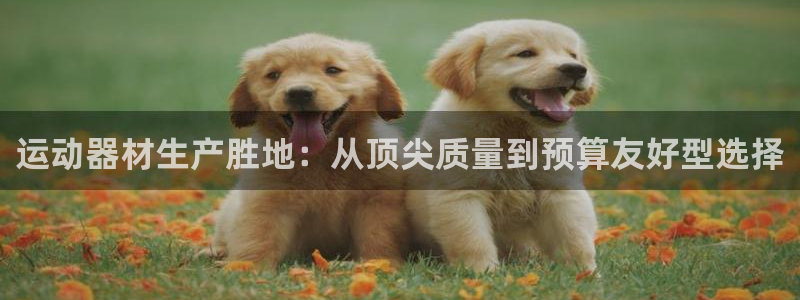 海南意昂体育3：运动器材生产胜地：从顶尖质量到预算友