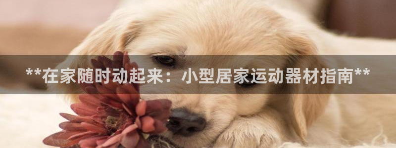 意昂3集团logo：**在家随时动起来：小型居家运动