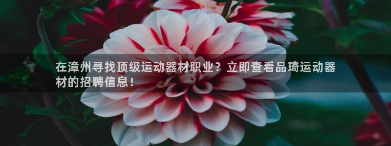 意昂体育3联系电话：在漳州寻找顶级运动器材职业？立即