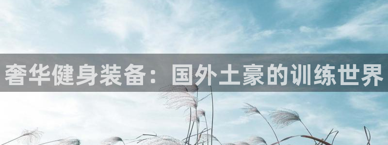意昂体育3是干嘛的公司：奢华健身装备：国外土豪的训练
