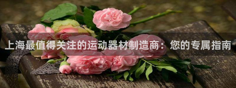 意昂3新能源：上海最值得关注的运动器材制造商：您的专