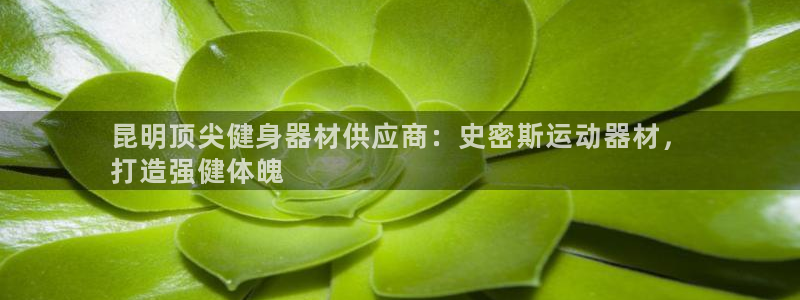 意昂3娱乐代理怎么样：昆明顶尖健身器材供应商：史密斯