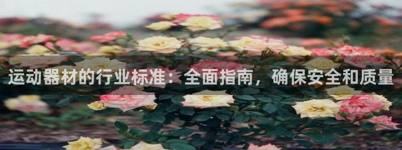 意昂体育3招商电话号码是多少啊：运动器材的行业标准：