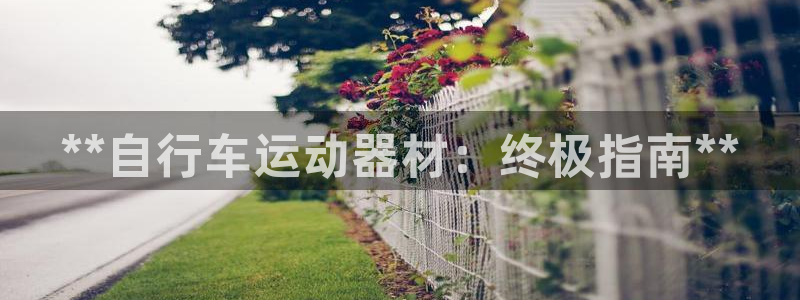 意昂3娱乐首页网站大全：**自行车运动器材：终极指南
