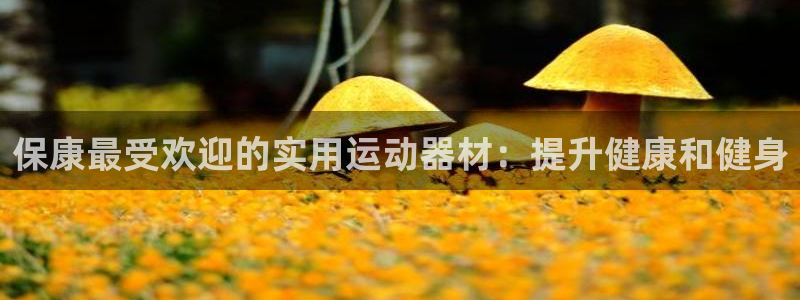 意昂3集团官网网址：保康最受欢迎的实用运动器材：提升