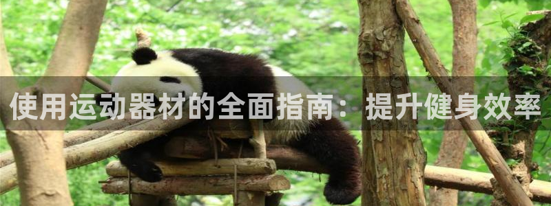 意昂体育3平台APP：使用运动器材的全面指南：提升健