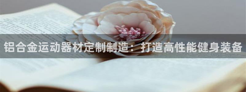 意昂体育3是干嘛的公司：铝合金运动器材定制制造：打造