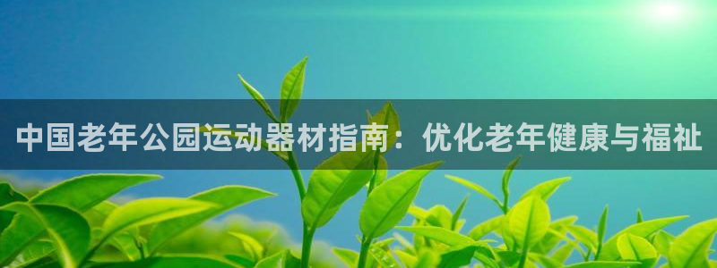 意昂平台体育：中国老年公园运动器材指南：优化老年健康