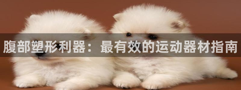 意昂3集团logo：腹部塑形利器：最有效的运动器材指