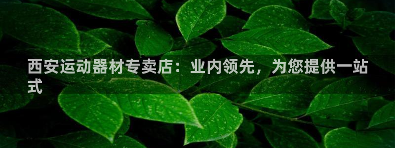 意昂体育3招商电话号码查询是多少：西安运动器材专卖店