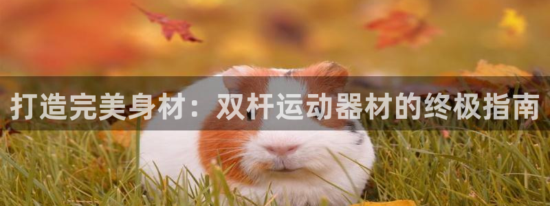 意昂3官方：打造完美身材：双杆运动器材的终极指南