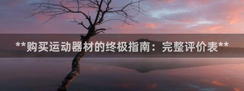 意昂体育3是干嘛的公司：**购买运动器材的终极指南：