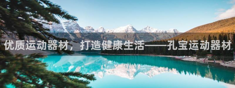 意昂3娱乐首页网站大全：优质运动器材，打造健康生活—