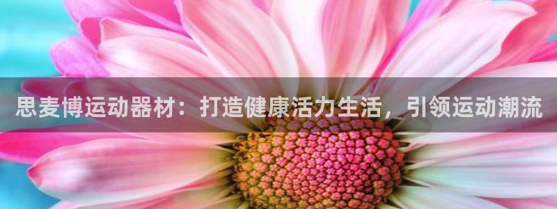 意昂3娱乐平台：思麦博运动器材：打造健康活力生活，引