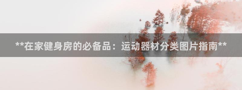 海南意昂体育3发展怎么样：**在家健身房的必备品：运
