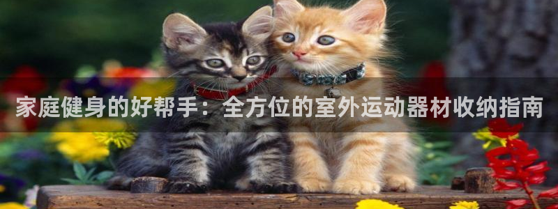 意昂体育3招商电话地址：家庭健身的好帮手：全方位的室