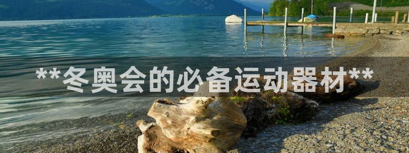 意昂3五金厂：**冬奥会的必备运动器材**