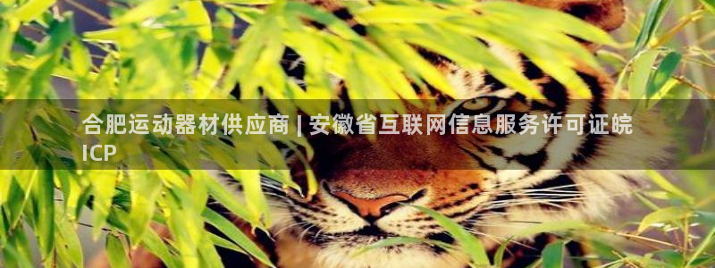 意昂3娱乐40996：合肥运动器材供应商 | 安徽省