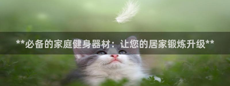 意昂体育3招商电话号码查询是多少：**必备的家庭健身