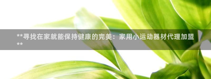 意昂3神州：**寻找在家就能保持健康的完美：家用小运
