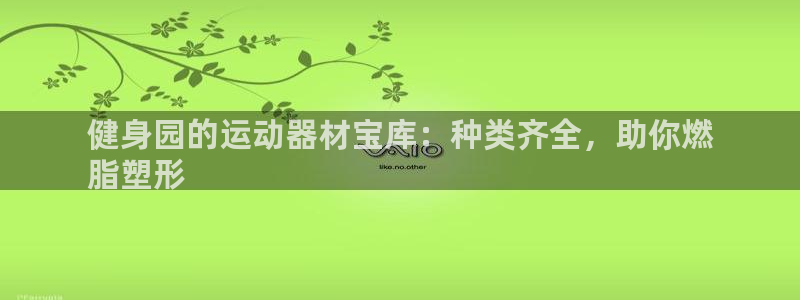 意昂体育3招商电话：健身园的运动器材宝库：种类齐全，