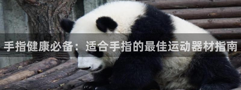 意昂体育3：手指健康必备：适合手指的最佳运动器材指南