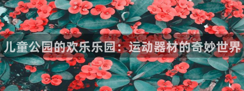 意昂体育3平台注册：儿童公园的欢乐乐园：运动器材的奇