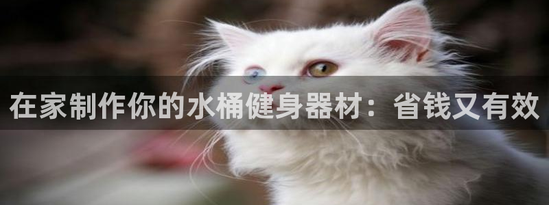 意昂体育3招商电话号码：在家制作你的水桶健身器材：省