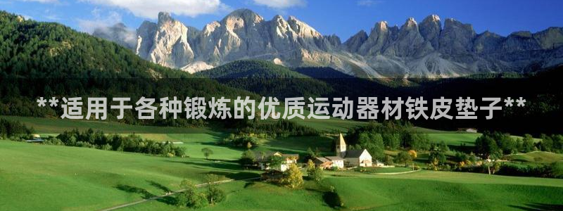 意昂3娱乐平台：**适用于各种锻炼的优质运动器材铁皮