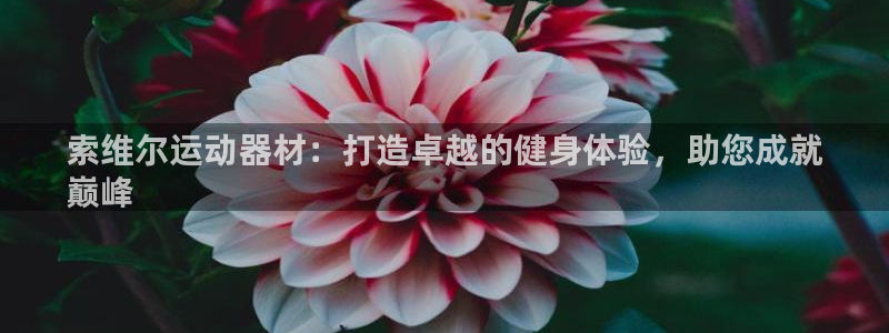 意昂体育3平台注册要钱吗安全吗：索维尔运动器材：打造