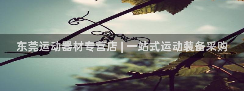 意昂3集团官网网址：东莞运动器材专营店 | 一站式运